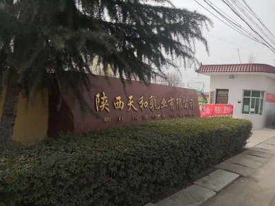 寶雞天和乳業(yè)污水處理、鍋爐改造、除塵器布袋跟換案例