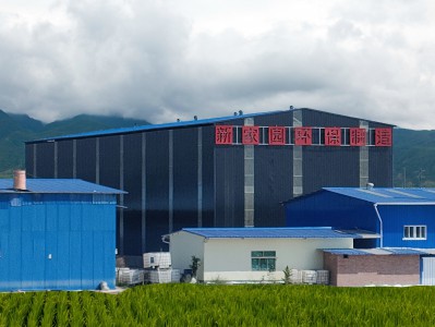 寶雞鑄造、涂料、制藥工業(yè)VOCs廢氣排放哪些細(xì)節(jié)值得注意！
